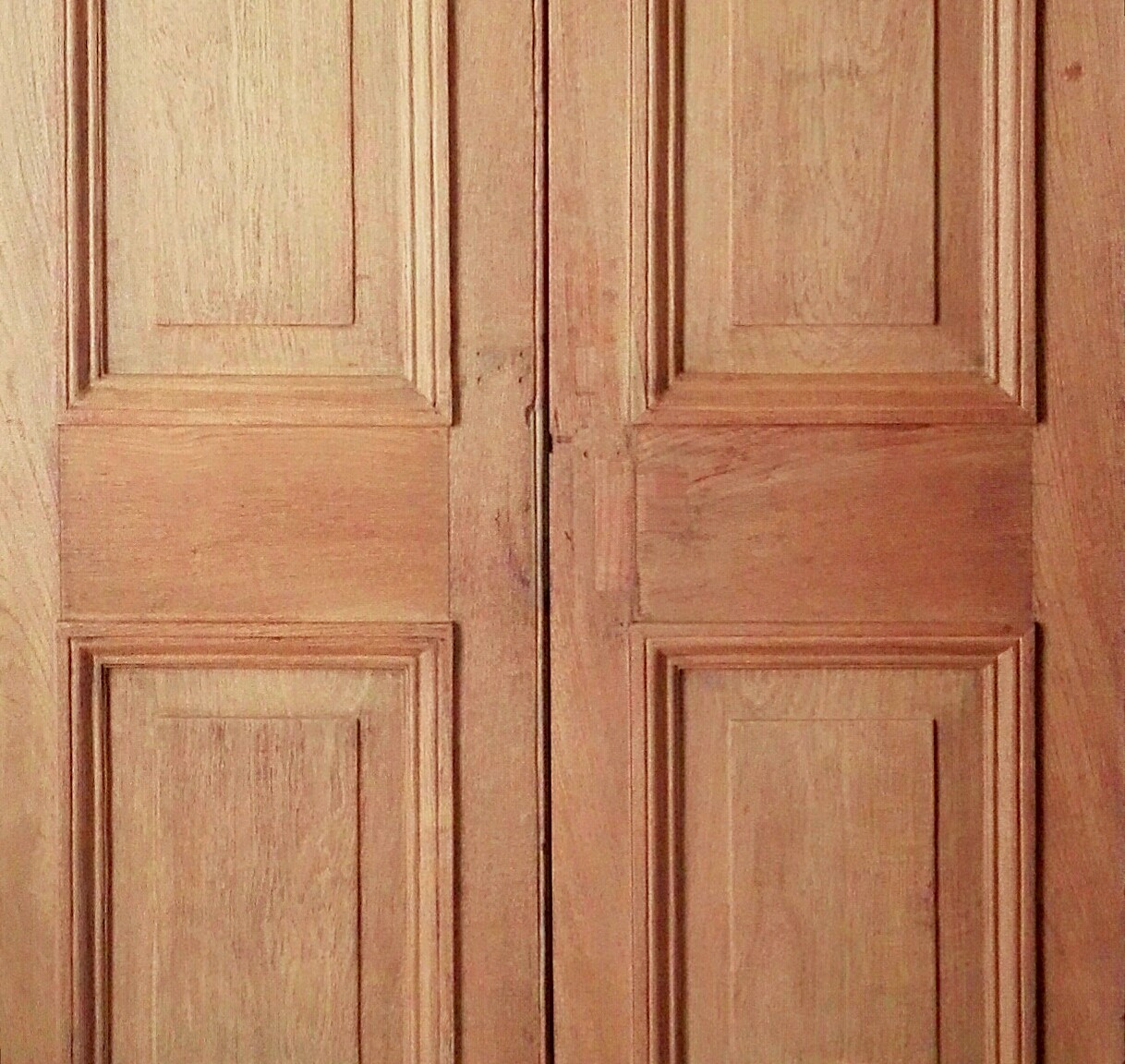 Pair of 19th century teak double doors with fanlight frame